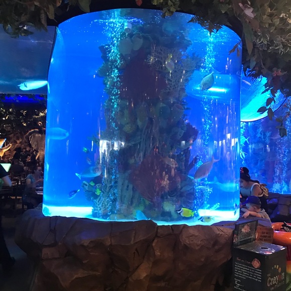 Meet your Posher, Donald - Picture 1 of 1